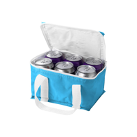 Malmo 6-can cooler bag