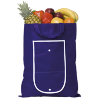 Rainham Fold Up Bag