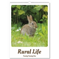Rural life Wall calendar