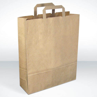 Paper Carrier Bag Large