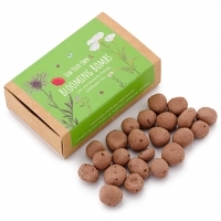 BRITISH WILDFLOWER SEED BALLS