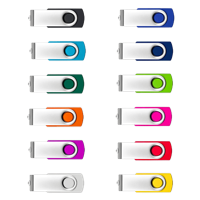 Twister USB Flash Drive