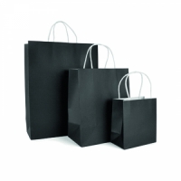 Brunswick Medium Coloured Paper Bag