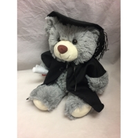 26cm Stanley Graduate bear